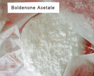 Polvos de esteroides inyectables Boldenone Acetate Raw Powder